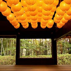 //www.img-ikyu.com/contents/common/dg/image/sd/acc3/00002073/00002073a.jpg