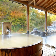 //www.img-ikyu.com/contents/common/dg/image/sd/acc5/00030595/00030595a.jpg