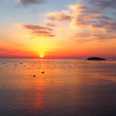 //www.img-ikyu.com/contents/common/dg/image/sd/acc6/00030846/00030846a.jpg