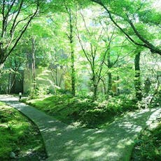 //www.img-ikyu.com/contents/common/dg/image/sd/acc9/00001399/00001399a.jpg