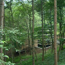 //www.img-ikyu.com/contents/common/dg/image/sd/acc9/00050549/00050549a.jpg