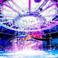 品川プリンスホテル <12/19・25限定>Dolphin Night Christmas/品川大飯店ディナー・朝食付