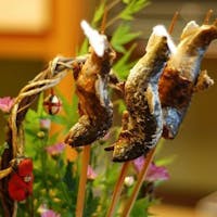 料亭旅館 八ツ三館 【夏味】6~10月限定!飛騨清流の川魚三種食べ比べ