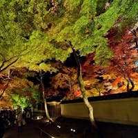 京都・嵐山 ご清遊の宿 らんざん 【最高ランクの会席と】宝厳院夜間特別拝観券付プラン【贅沢】