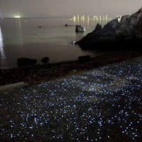 絶景露天風呂の宿 銀波荘 【感動体験】 お日にち限定!海にきらめく宝石!赤穂御崎で出会える自然の神秘「海ホタル観察プラン」