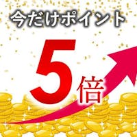 ホテル ザ グランデ心斎橋 【ポイント最大22倍!】1月11日までの期間限定SPECIALSALE