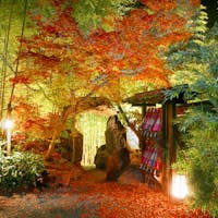 秘境 白川源泉 山荘 竹ふえ 記念日プラン