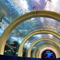 浅虫温泉 南部屋・海扇閣 【イルカがジャンプ!浅虫水族館チケット付き】ご夕食は「お膳食」ファミリー&グループおすすめプラン!