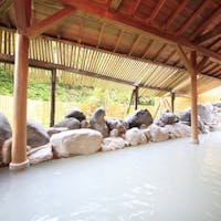 名湯の宿パークホテル雅亭 【早期予約30日前】ずわい蟹も楽しめるバイキング