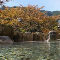 下呂温泉 望川館 望川館イチオシ 飛騨牛1品付季節の会席料理と日本三名泉堪能のんびりプラン