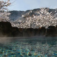 下呂温泉 望川館 気軽に温泉旅行!食事は地元名店でOK!!料金に合わせてお部屋もチョイス!素泊まりプラン