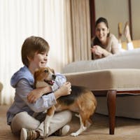 シェラトン・グランデ・トーキョーベイ・ホテル 【愛犬と一緒にリゾートステイ 】 ドッグフレンドリールーム 朝食付き