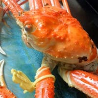 料理宿やまざき 【黄タグブランド越前蟹1キロサイズだけ使用】夕食は熱々茹で・刺し・焼きのかに料理のみ!プラン