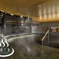 京湯元 ハトヤ瑞鳳閣 【夏旅セール】【素泊まり・温泉入浴剤特典付】 京都温泉<天然自家源泉>~ポイント最大7倍!~