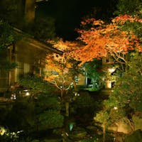 南禅寺 八千代 【31日まで!最大50%OFF!タイムセール!】旅のスケジュールが立てやすい泊食分離プラン!!