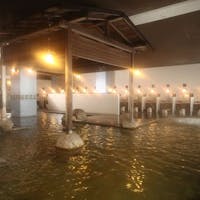 ホテル十和田荘 奥入瀬ガーリックポークと海鮮三色丼プラン
