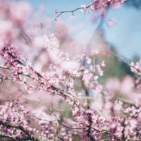 ホテルグランバッハ熱海クレッシェンド 【日にち限定】都会をちょっと離れてリフレッシュ!温泉付客室でゆっくりレイトチェックアウト/夕・朝食付