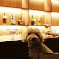 レジーナリゾート旧軽井沢 愛犬と過ごす深いくつろぎと贅沢な時間 1泊2食付きプラン/本格懐石料理(2019年10月~)
