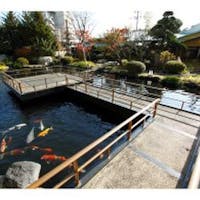 伊豆長岡温泉 すみよし館 【サマーセール】幼児1名無料&お子様ランチ風夕食付<古奈創作磯料理&貸切り露天風呂半額> 個室食事処