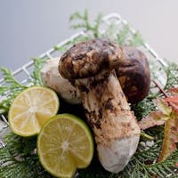 旅館 三治郎 10/1~予約 【松茸づくし】10月末まで期間限定!秋の香りに誘われて 6つの調理法で楽しむ松茸料理