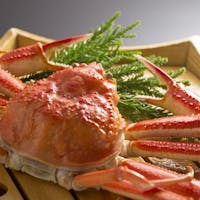 北陸あわら温泉 美松 【カニ!蟹!蟹づくし!】福井の冬は蟹で決まり!!