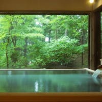 日光星の宿 【一人旅 温泉】おひとりさまステイ 自分へのご褒美で優雅な休日