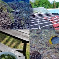 Blue Ocean Resort 【スイートルーム】3密無縁 プライベートプール付 貸切ヴィラ/BBQなど充実レンタル/素泊まり<石>