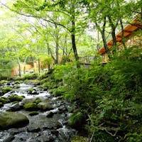 「蔵王の森」がつくる美と健康の温泉宿 ゆと森倶楽部 蔵王の森でリトリートステイ オールインクルーシブ癒し旅