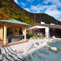 箱根湯本温泉 天成園 【24時間限定!ポイント倍増キャンペーン】和洋中バイキング&ライブキッチンで大満足!~5のつく日~