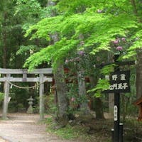 山水館 川湯みどりや スピリチュアルな熊野をお手軽体験<おにぎり弁当付_1泊朝食>熊野古道まで送迎アリ!8・9・10時発