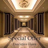 グランドニッコー東京 台場 【Special Offer Executive Floor】お日にち限定特別プラン(朝食付)