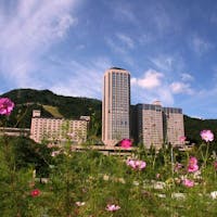 NASPAニューオータニ ※素泊り※24時までチェックインOK!250坪の温泉大浴場で日々の疲れをリフレッシュ