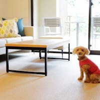 レジーナリゾート箱根仙石原 愛犬との時間を過ごすお部屋食と静寂の森 10月~