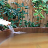 津軽藩本陣の宿 柳の湯 【お部屋食/贅沢】お部屋食確約 お料理贅沢プラン
