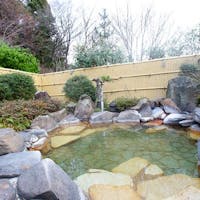 四季の宿 さひめ野 【最終チェックイン20時】【1泊朝食付】到着が遅めのアクティブ派のあなたに