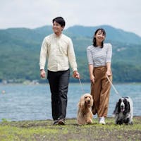 富士山を望む ペットと泊まれる宿 Wan's Resort 山中湖 【夕食のみ】平日限定!お寝坊な人、早出発にもぴったり!富士五湖観光を満喫する1泊夕食付きプラン