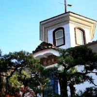 文化財の宿 新井旅館 【歴史を感じる/文化財ガイド付き】登録文化財をより深く体感!1泊2食+ガイドツアー