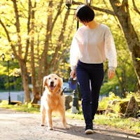 高山わんわんパラダイスホテル 高原リゾートで気楽に懐石料理を愉しむ【宮川懐石】