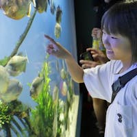 ホテル&リゾーツ 伊勢志摩 -DAIWA ROYAL HOTEL- 【鳥羽水族館入館券付プラン】ショーやお食事タイムなど見所満載!ジュゴンにも会える!<和会席>