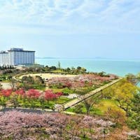 ホテル&リゾーツ 長浜 -DAIWA ROYAL HOTEL- ・【スタンダード】シンプルステイ~素泊りプラン~