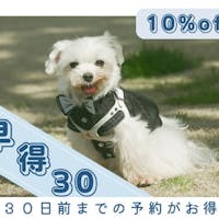 コレドール湯河原 Dog&Resort 【早期割30】通常より1500円割引&愛犬お食事付き 30日前までの予約でわんだふる
