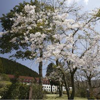 小田急 山のホテル 【2020春限定】 春の箱根を満喫 ~朝食付き宿泊プラン~