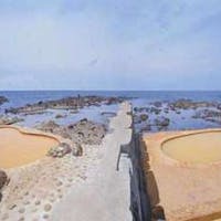 黄金崎不老ふ死温泉 新鮮な海の幸Aプラン(基本プラン)