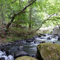 扉温泉 明神館 自然豊かな信州で育った牛・豚・鶏。味わい深い信州ブランドの3種の肉、魅力の「食」をご賞味。