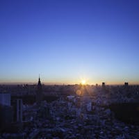 パーク ハイアット 東京 【緊急タイムセール】Go To トラベル対象!充実の朝食&スパ利用、レイトアウトでホテルステイを満喫