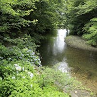 磐梯熱海温泉 熱海荘 【スペシャルオファー】特別料金&ポイント最大17倍!数寄屋造りのお部屋<懐石料理と温泉を味わう>
