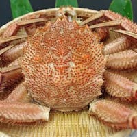 休暇村 支笏湖 【早割90日前割引】夏季限定~北海道美食バイキング~【極みコース】