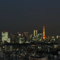 ホテルグレイスリー新宿 【高層階28階以上確約】夜景満喫プラン・12時レイトアウトー朝食付ー