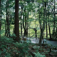 温泉山荘だいこんの花 【基本プラン】1泊2食付きオールインクルーシブ