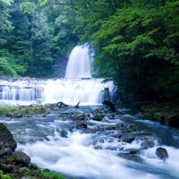 北郷 音色香の季 合歓のはな <スタンダード~夏の創作会席~>深い森に囲まれた森林リゾート 楽園の湯宿STAY(禁煙)